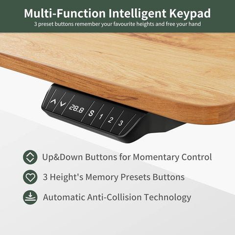 40x24 Inch Electric Height Adjustable Standing Desk