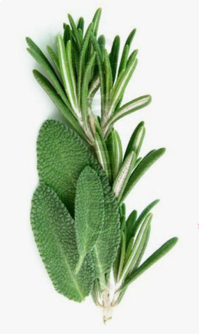 Rosemary Sage Soy Candle – Fresh & Herbal Scent | Mam Jam’s