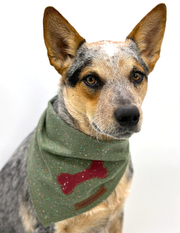 DCNY Fesitve Fir Confetti Bandana-1