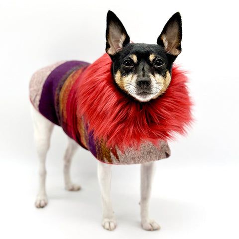 “Salinas” Jacket with Removable Faux Fur Collar