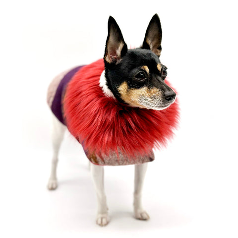 “Salinas” Jacket with Removable Faux Fur Collar