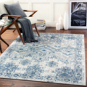 Blue and beige traditional Puriton Area Rug with medium pile in modern living room setting