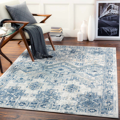 Blue and beige traditional Puriton Area Rug with medium pile in modern living room setting
